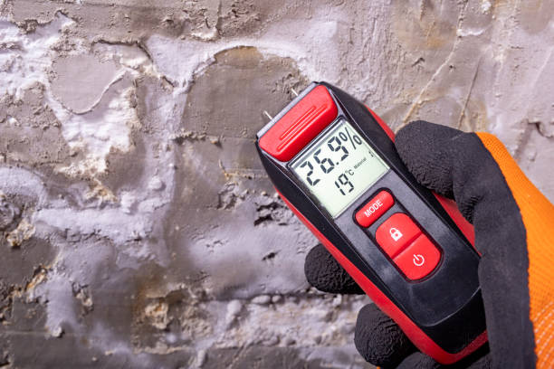 Home Mold Removal in Kittanning, PA