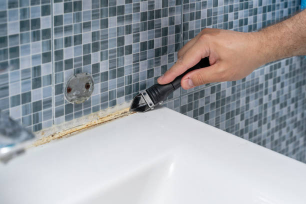 Best Professional Mold Removal  in Kittanning, PA